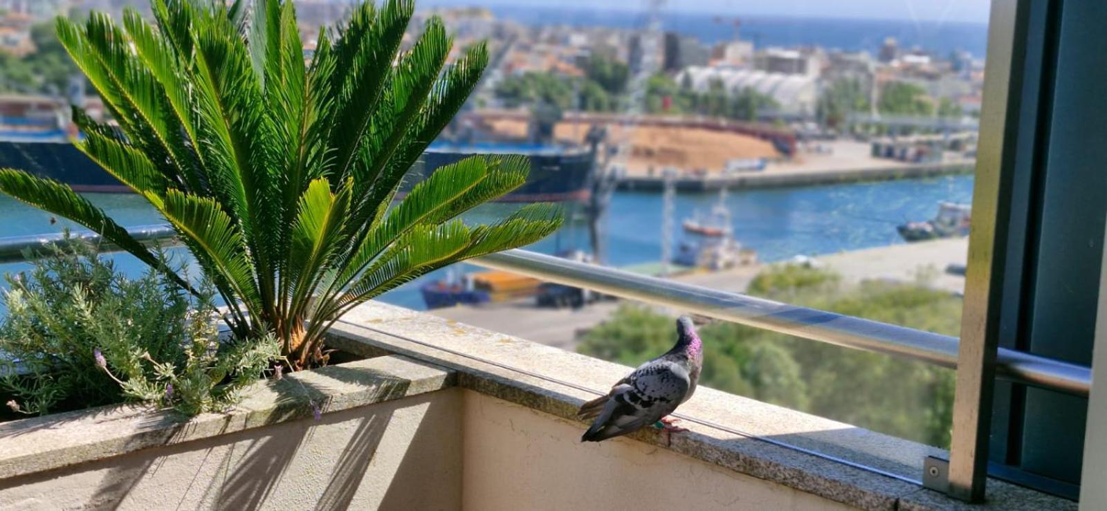 Great Apartment Belavista Leça da Palmeira Εξωτερικό φωτογραφία